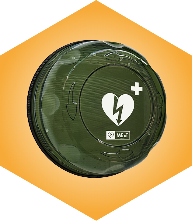 Rotaid Solid Plus Heat alarmed